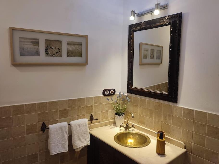 赫雷斯Apartamento Manzil En El Centro De Jerez De La F.公寓 外观 照片